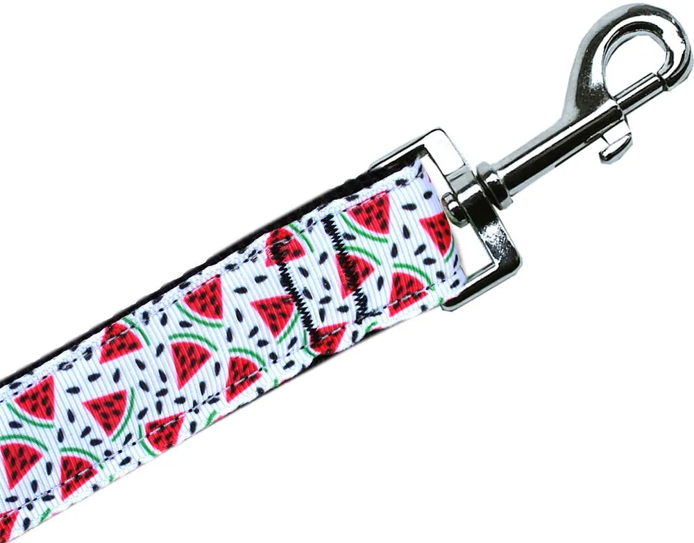 Watermelon Nylon Pet Leash 5-8in By 6ft